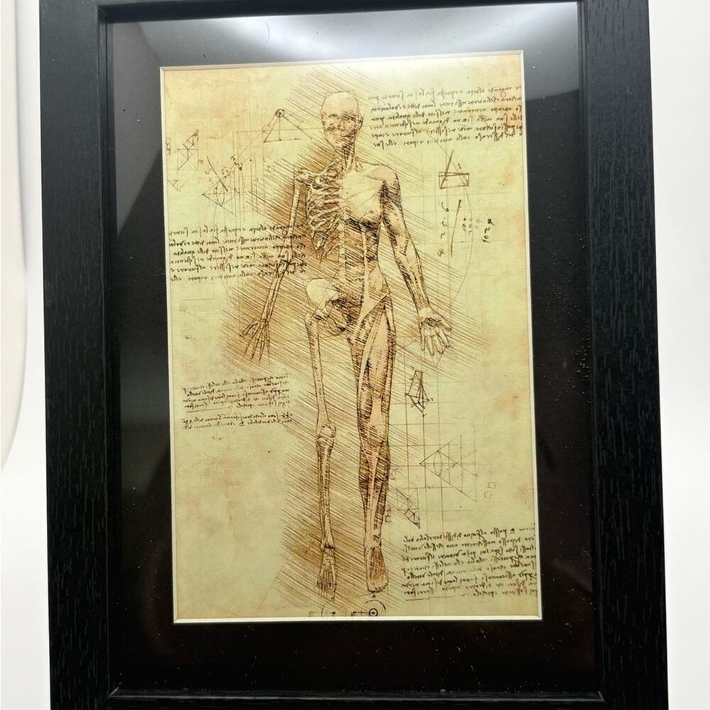 Framed Anatomical Art Print in Black Frame 5x7